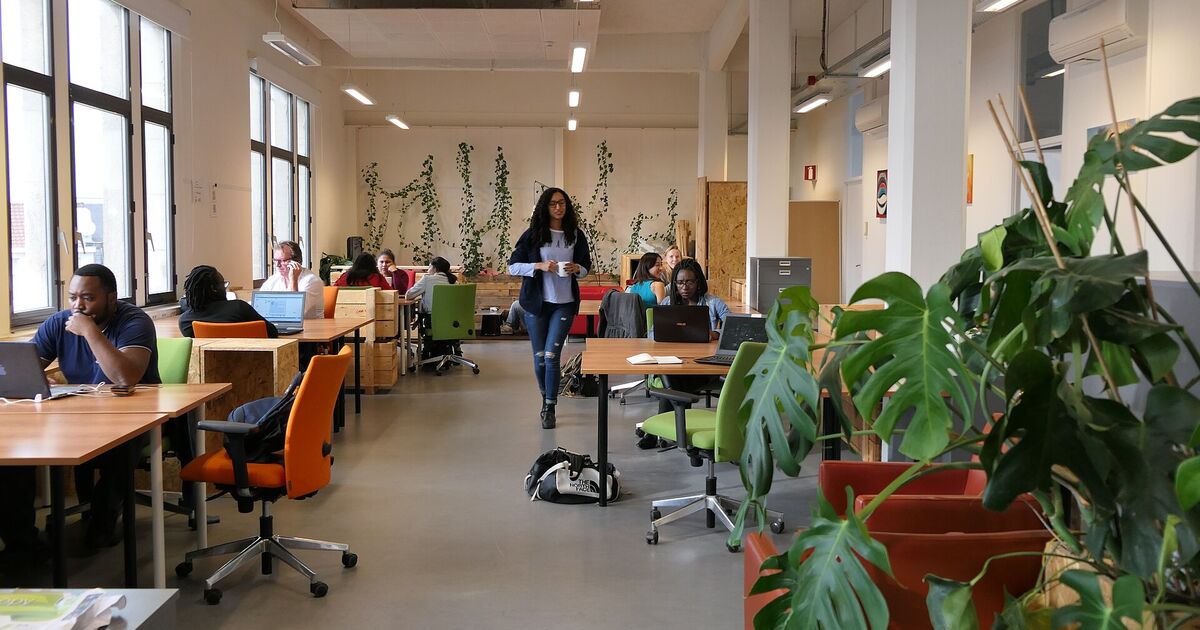 Espacio de oficina luminoso con mesas y plantas